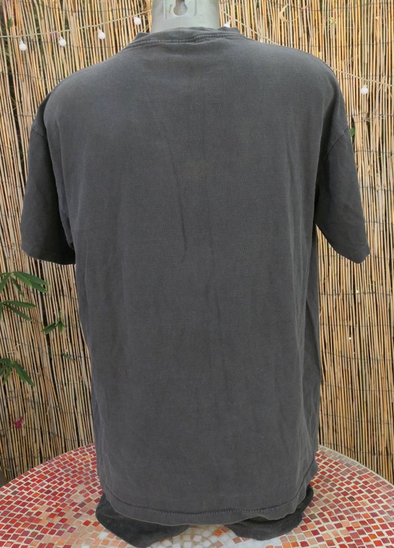 P1000781