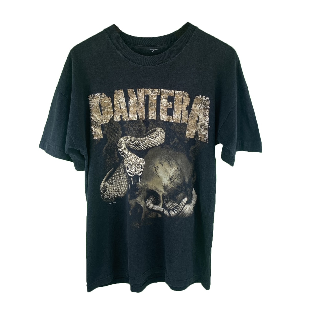 pantera1