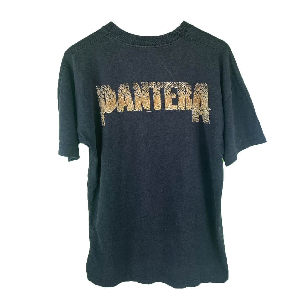 pantera2