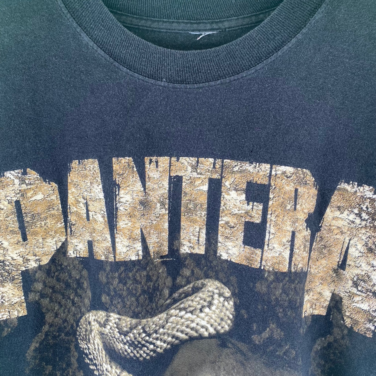 pantera3