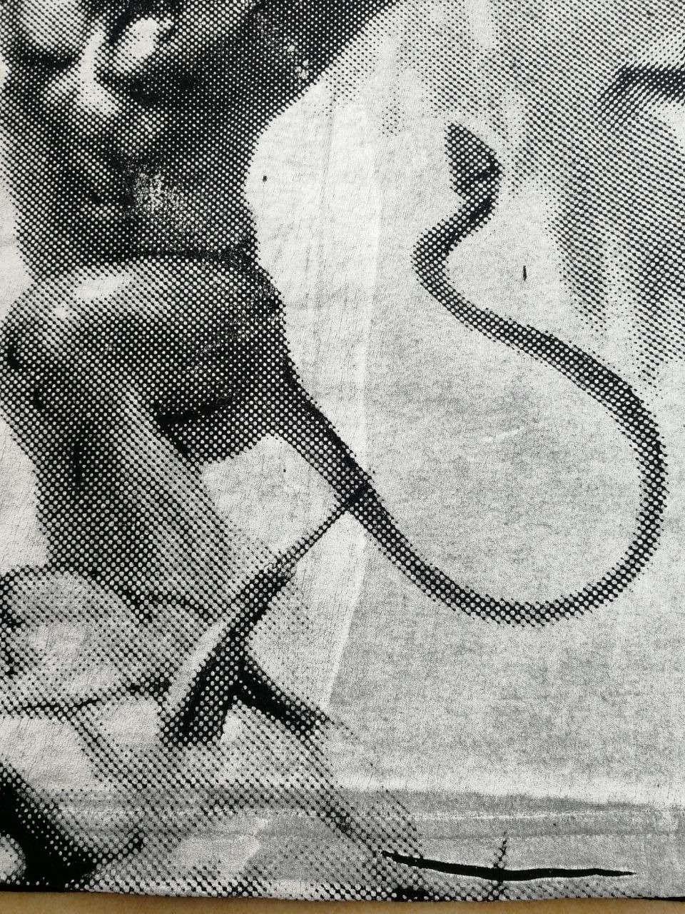photo1637170975